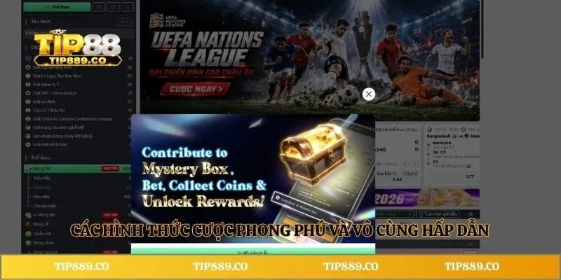 Các hình thức cược phong phú và vô cùng hấp dẫn