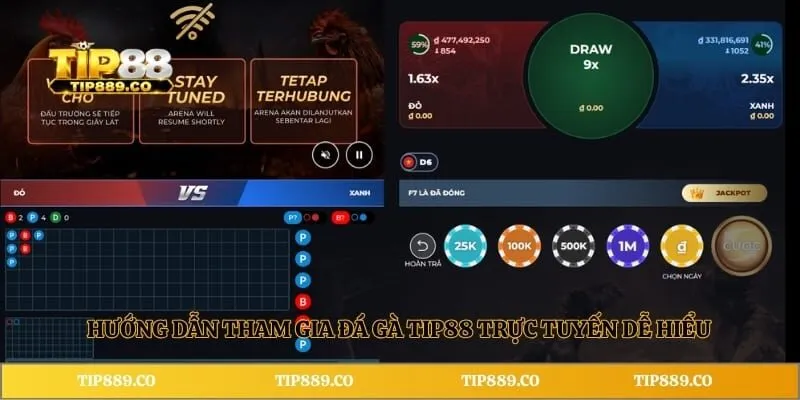 Hướng dẫn tham gia đá gà TIP88 trực tuyến dễ hiểu