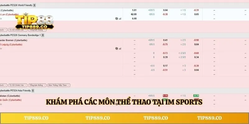 IM Sports Sân Chơi Cá Cược Thể Thao Hàng Đầu Châu Á Hiện Nay 3 Khám phá các môn thể thao tại IM Sports