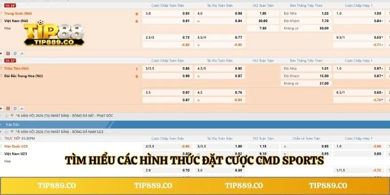 Tìm hiểu các hình thức đặt cược CMD Sports
