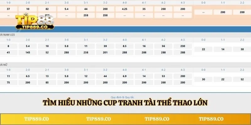 SABA Sports - Cung Cấp Trải Nghiệm Cá Cược Đỉnh Cao Nhất 3 Tìm hiểu những cup tranh tài thể thao lớn