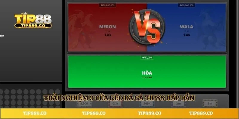 Trải nghiệm 3 cửa kèo đá gà TIP88 hấp dẫn