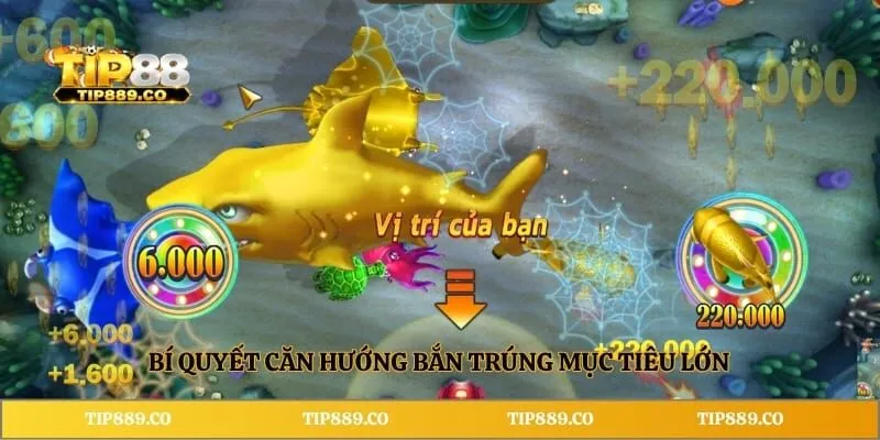 Bí quyết căn hướng bắn trúng mục tiêu lớn