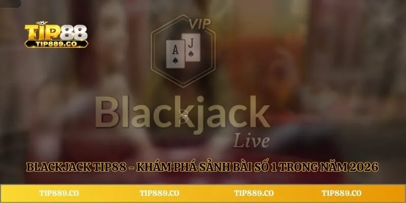 Blackjack TIP88 - Khám Phá Sảnh Bài Số 1 Trong Năm 2026 1 Blackjack TIP88 - Khám Phá Sảnh Bài Số 1 Trong Năm 2026