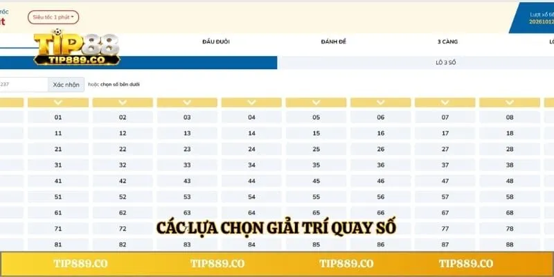 Các lựa chọn giải trí quay số