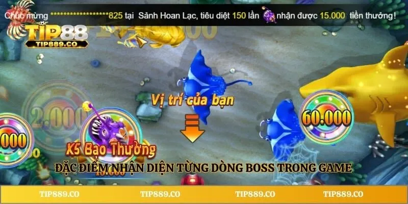 Đặc điểm nhận diện từng dòng Boss trong game