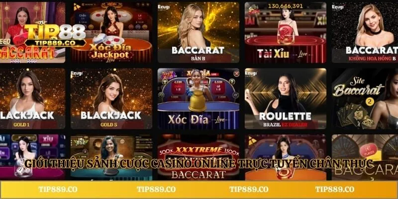 Giới thiệu sảnh cược Casino Online trực tuyến chân thực