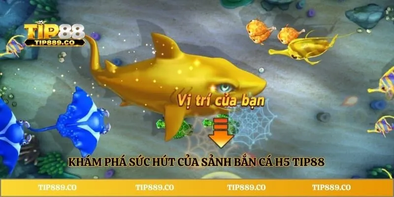 Khám phá sức hút của sảnh bắn cá H5 TIP88