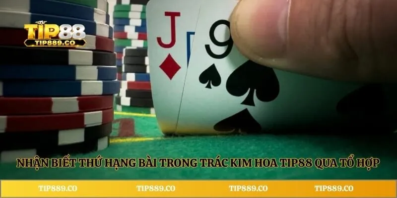Nhận biết thứ hạng bài trong trác kim hoa TIP88 qua tổ hợp