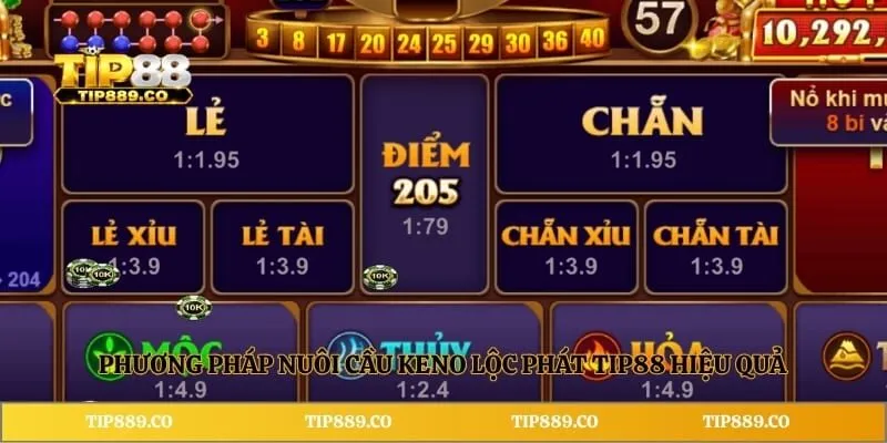 Phương pháp nuôi cầu Keno Lộc Phát TIP88 hiệu quả