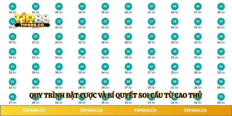 Keno TIP88 - Hình Thức Và Hướng Dẫn Tham Gia Chi Tiết 4 Quy trình đặt cược và bí quyết soi cầu từ cao thủ