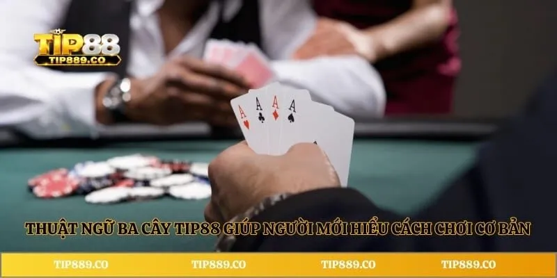 Ba Cây TIP88 - Giới Thiệu Chi Tiết Về Game Bài Hot Nhất 2026 3 Thuật ngữ ba cây TIP88 giúp người mới hiểu cách chơi cơ bản