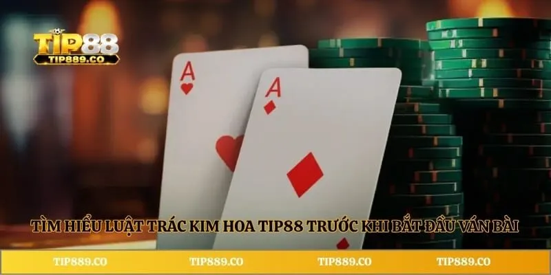 Tìm hiểu luật trác kim hoa TIP88 trước khi bắt đầu ván bài