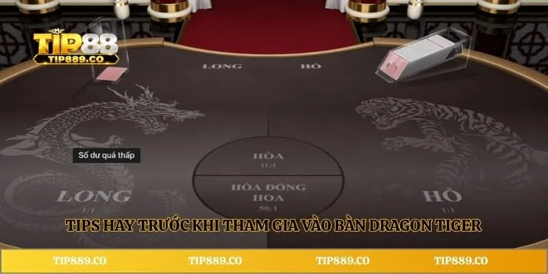 Rồng Hổ TIP88 - Bí Quyết Săn Thưởng Tại Sảnh Casino Online 4 Tips hay trước khi tham gia vào bàn Dragon Tiger